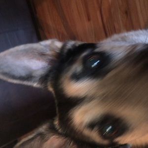 Meet your Posher, Madison